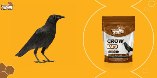 How do you know if a crow attractant is effective?